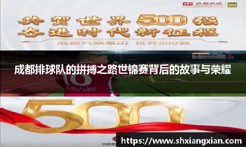 成都排球队的拼搏之路世锦赛背后的故事与荣耀